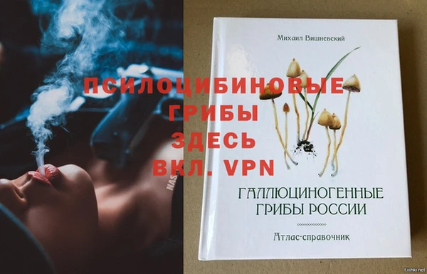 тгк Алексин